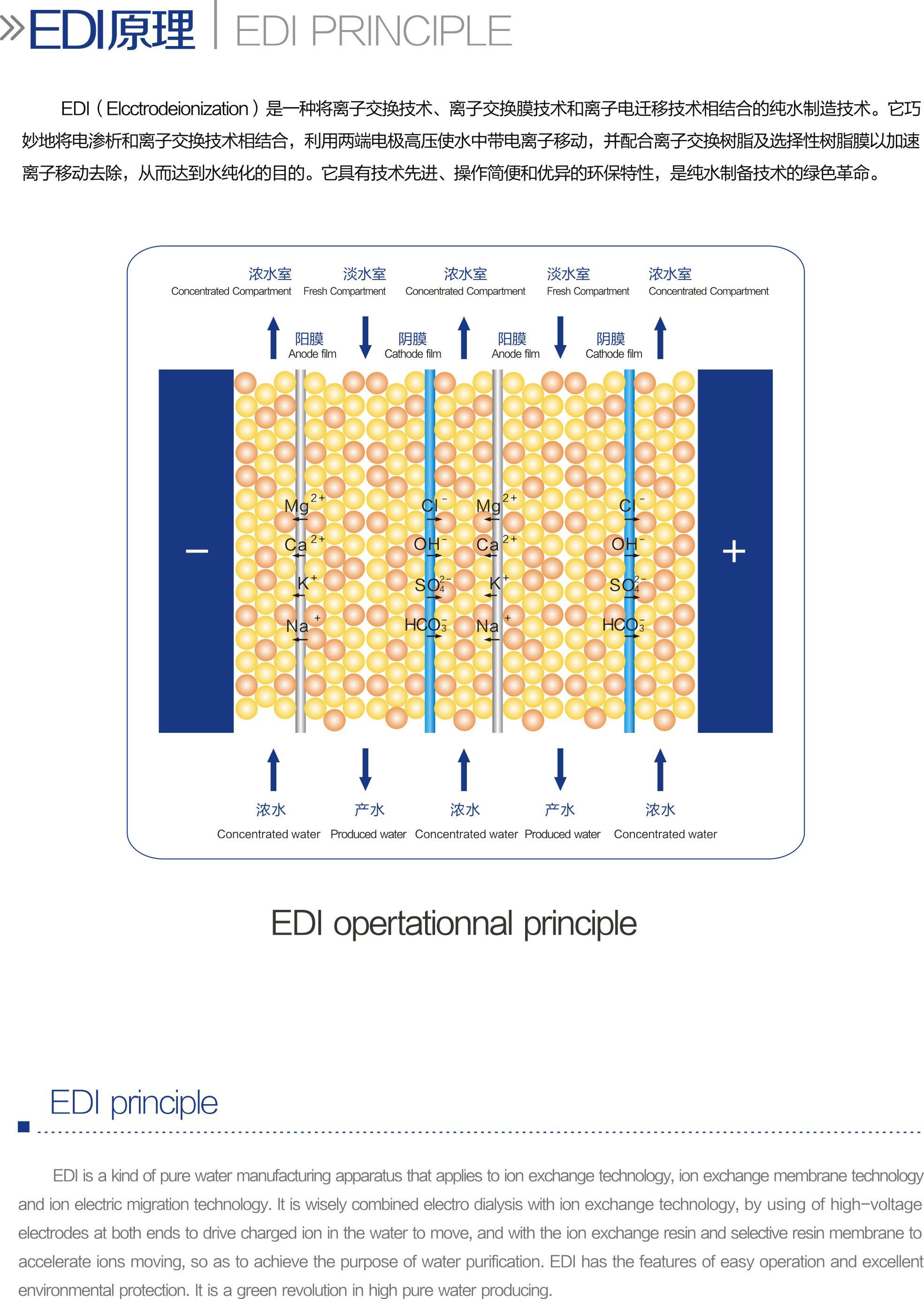 EDI膜塊